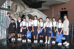 一日の生活イメージ