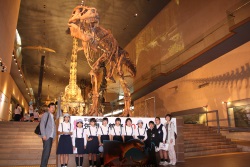 一日の生活イメージ