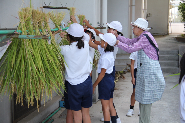 一日の生活イメージ