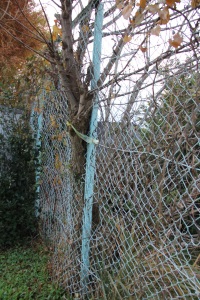 一日の生活イメージ