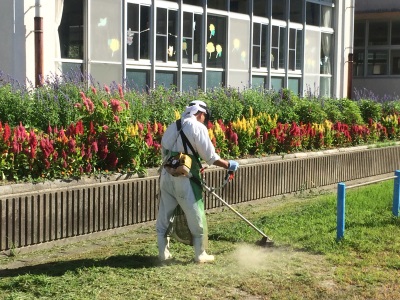 一日の生活イメージ