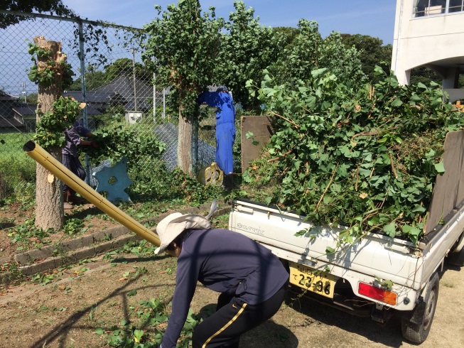 一日の生活イメージ